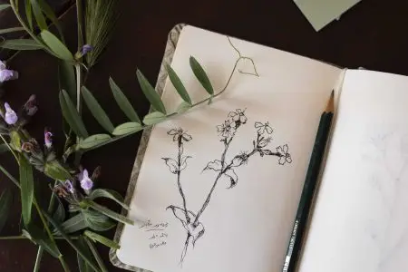 ⁦גלויה קחוון מאוייר⁩ – תמונה ⁦3⁩