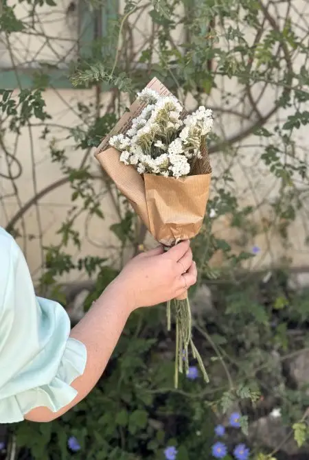 פרחים בתפזורת- עדעד לבן