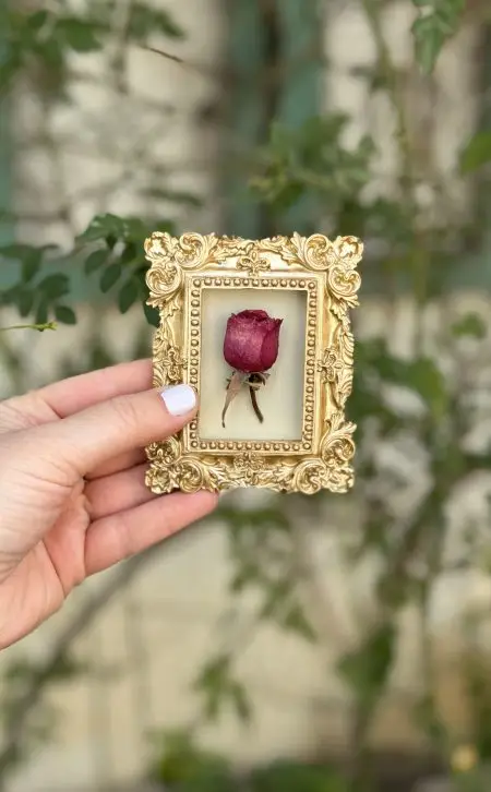 תמונה מניאטורית מלבנית רקע שמנת
